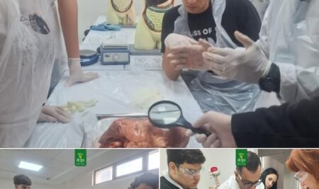 Hands-On Learning in Grade 12 Biology!