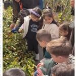 Romantic Garden’da Çiçekleri İnceleyerek Öğrendik