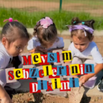 Doğa International Schools’ta Mevsim Sebzeleri Toprakla Buluştu!